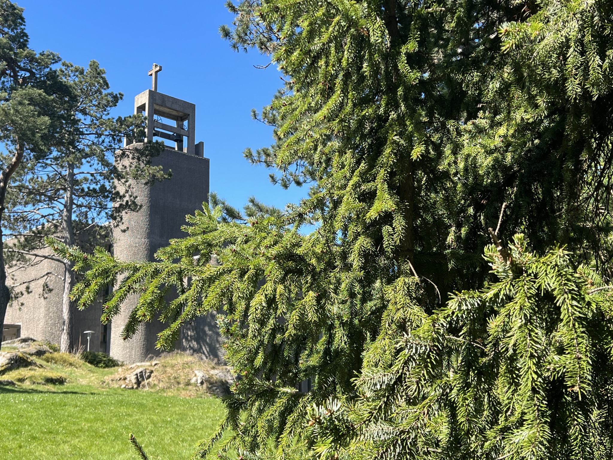 Foto av Grim kirke, med et tre foran.